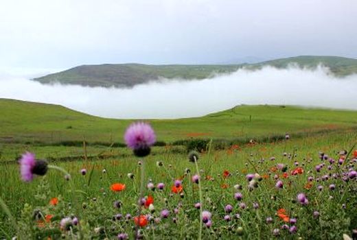 لزوم رصد مستمر مناطق بحرانی حریق/ از انتقاد سازنده استقبال می‌کنیم 