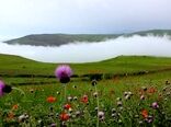 لزوم رصد مستمر مناطق بحرانی حریق/ از انتقاد سازنده استقبال می‌کنیم 