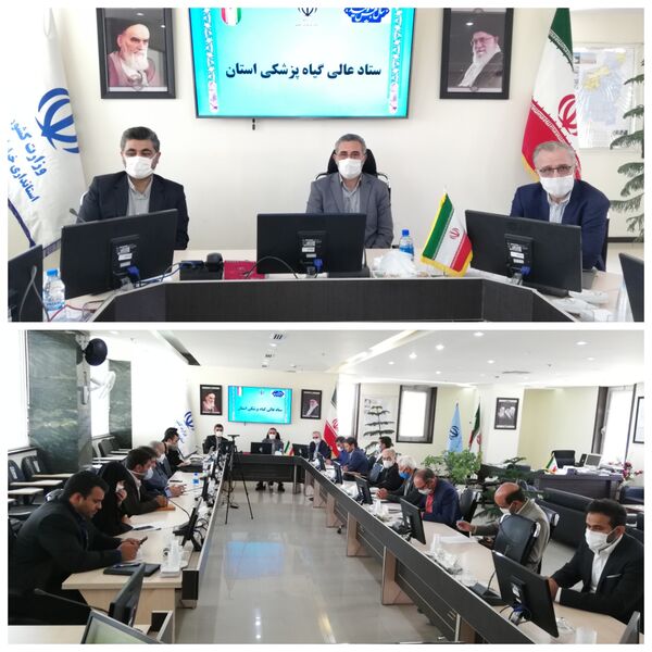 نیاز به بسیج همگانی برای مبارزه با ملخ صحرایی