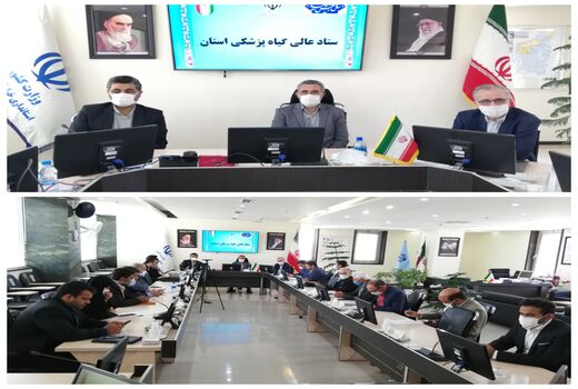 نیاز به بسیج همگانی برای مبارزه با ملخ صحرایی