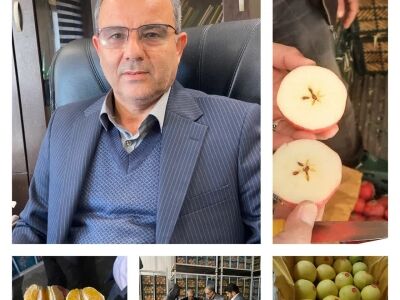 عرضه میوه نوروز با قیمت تنظیم بازار در خوزستان