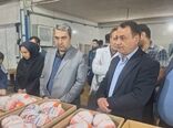 خرید ۱۸۰ تن مرغ مازاد برای ذخایر راهبردی کهگیلویه و بویراحمد در آستانه نوروز و رمضان