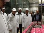 توسعه صنایع لبنی و همکاری با دامداران، راهی برای افزایش بهره‌وری و امنیت غذایی