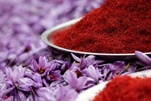 خراسان شمالی رتبه سوم سطح زیر کشت زعفران کشور 