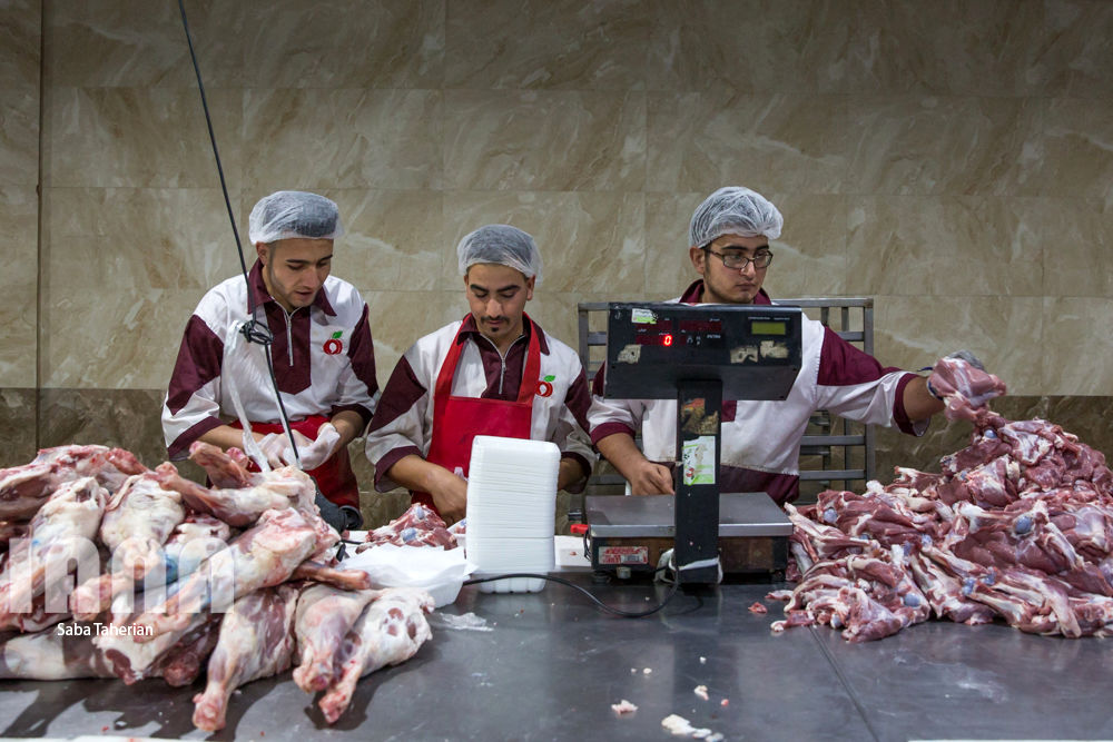 بسته‌بندی محصولات پروتئینی