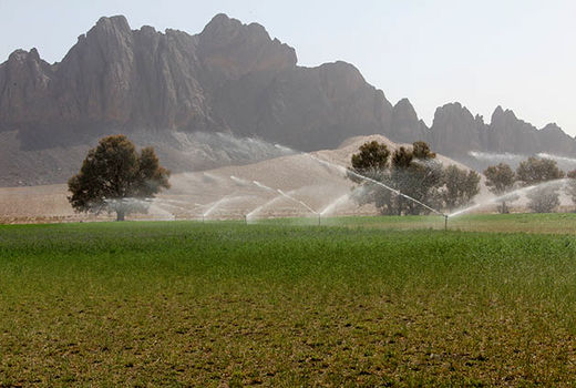 تاکنون 34 هزار هکتار از اراضی سیستان و بلوچستان به سیستم نوین آبیاری مجهز شده است