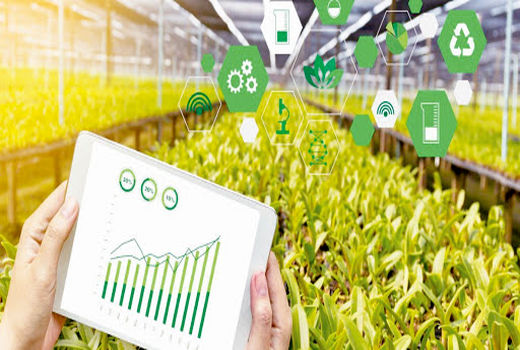 امروزه کشاورزی دانش بنیان حرف اول را در اقتصاد و بهره وری بخش کشاورزی می زند 