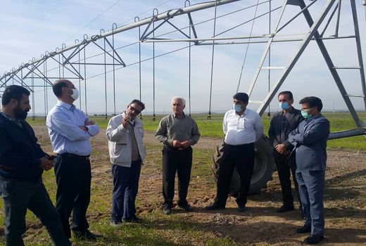  از طرح احیاء ۵۰ هزار هکتاری از دشت های ایلام بازدید کرد