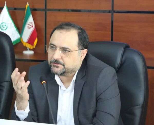 تحول چشمگیر در تولید انواع بذر سالم و اصلاح شده سیب‌زمینی در کشور