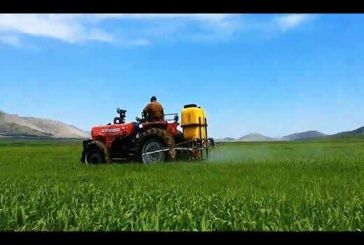 مبارزه با علف‌های هرز در بیش از ۲۳ هزار هکتار از مزارع غلات کهگیلویه و بویراحمد