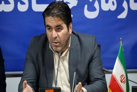 رشد زودرس محصولات کشت پاییزه در گلستان