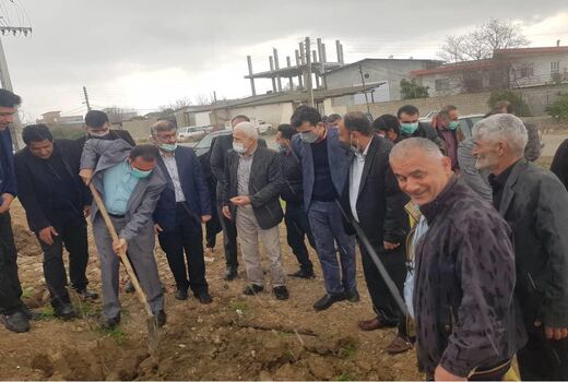 غرس 4 هزار اصله نهال در ساری