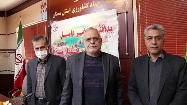 60 درصد محصولات پروتئینی استان سمنان صادر می‌شود