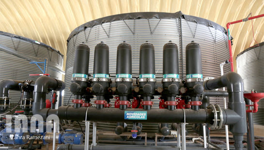 بزرگترین گلخانه هیدروپونیک