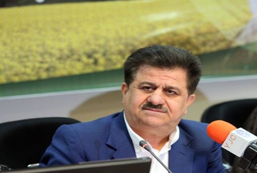 برداشت 101 میلیون شاخه گل نرگس از مزارع استان خوزستان