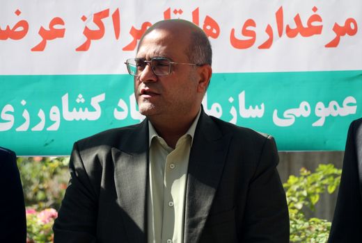 آغاز مانور سراسری نظارت بر بازار کالاهای اساسی در قزوین با تمرکز برعرضه مرغ گرم 