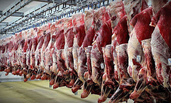 مانع ترخیص گوشتهای مغولستانی شدیم / گوشتها وارد بازار نشد