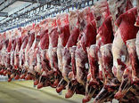 مانع ترخیص گوشت‌های مغولستانی شدیم / گوشتها وارد بازار نشد