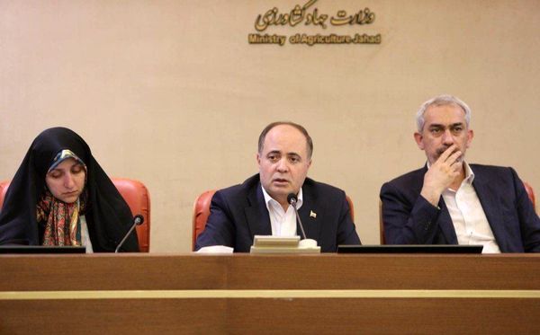 مسئولیت‌های نظارتی در یک ساختار منسجم سامان‌دهی شود