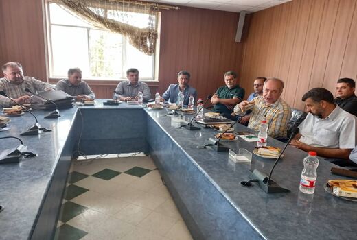 برگزاری نشست ساماندهی سموم قاچاق و غیر مجاز در شهرستان تاکستان
