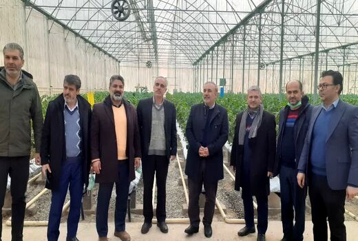 بازدید میدانی رئیس سازمان جهاد کشاورزی استان البرز از واحدهای تولیدی شهرستان نظرآباد 