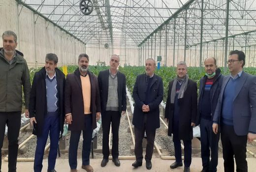 بازدید میدانی رئیس سازمان جهاد کشاورزی استان البرز از واحدهای تولیدی شهرستان نظرآباد 