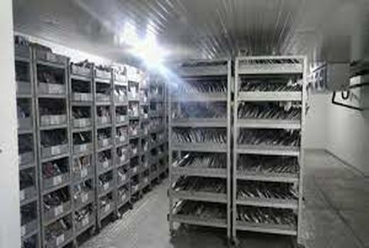 نگهداری نزدیک به 100 هزار گونه در بانک ژن ملی محصولات زراعی