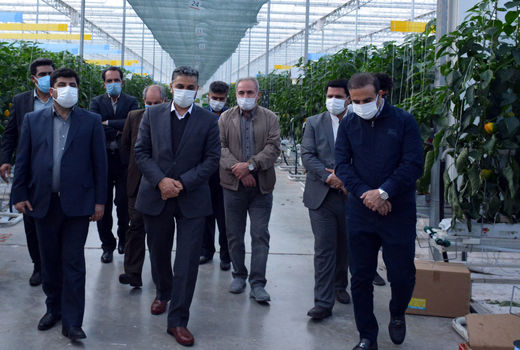 مجتمع گلخانه ای جلفا جزو 10 گلخانه بزرگ هیدروپونیک شیشه ای دنیا 