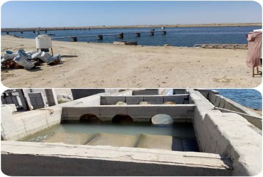 نظارت بر اراضی واگذار شده برای پرورش میگو در شهرستان بوشهر