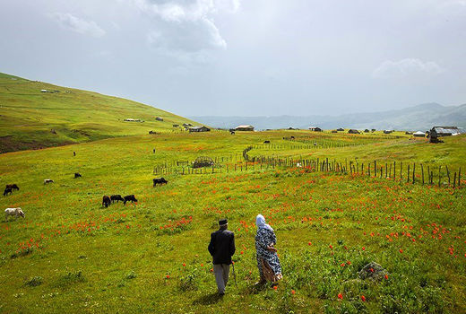 واگذاری 85 هکتار از اراضی قیر و کارزین به عشایر