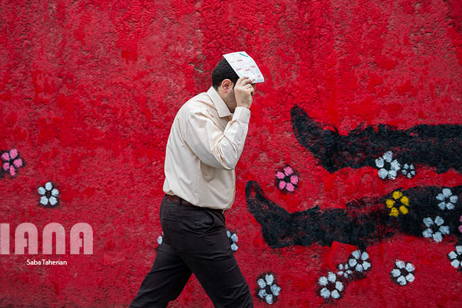 Saba Taherian4