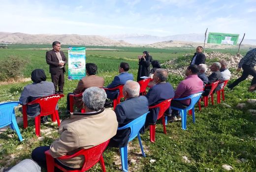 فعالیت کاروان ترویجی الگوی کشت ملی محصولات زراعی در کازرون ادامه دارد
