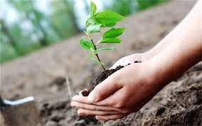  200 برنامه در هفته منابع طبیعی در استان سمنان اجرا می‌شود