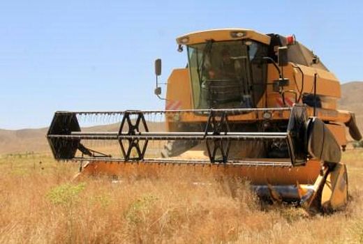 ورود یکصد دستگاه کمباین مهاجر به چهارمحال وبختیاری برای برداشت کلزا