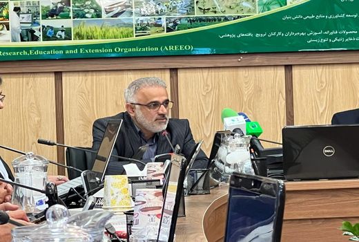 سالانه یک‌میلیون هکتار بیابان‌زایی در کشور اتفاق می‌افتد