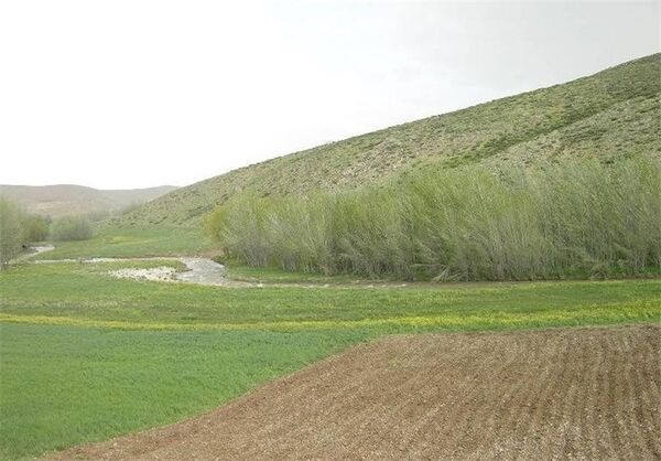 23 طرح کشاورزی در اراضی ملی سمنان اجرایی می‌شود