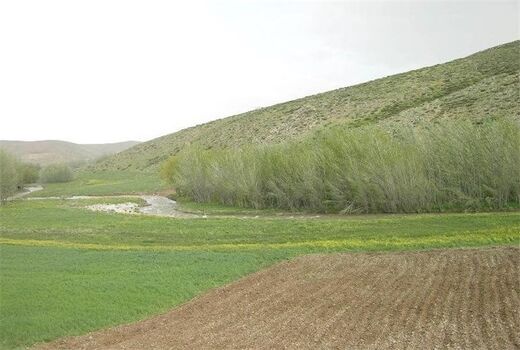 23 طرح کشاورزی در اراضی ملی سمنان اجرایی می‌شود