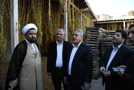صادرات ۳ میلیون و ۵۱۰ هزار تن محصولات کشاورزی در ۶ ماهه اول سال در کشور