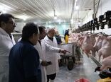 تولیدکنندگان گوشت مرغ در آذربایجان شرقی پای کار هستند / کشتار روزانه ۴۵۰ تن مرغ در استان