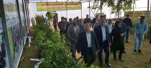 افتتاح گلخانه تولید نهال در روستای اوچ تپه کرد شهرستان میاندوآب به مناسبت هفته دولت 