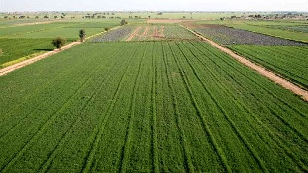 تولید و پخش بیش از ۱۱ هزار و ۸۸۰ دقیقه رسانه آموزشی و ترویجی کشاورزی در آذربایجان غربی
