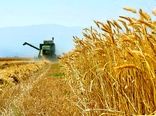 جذب 6391 میلیارد ریال تسهیلات اجرای طرح‌های اقتصادی بخش کشاورزی در کرمانشاه