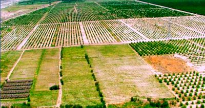 آیین نامه جلوگیری از خرد شدن زمین های کشاورزی نهایی شد