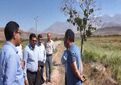 واگذاری 4 میلیون هکتار طرح مرتعداری به مرتعداران کشور