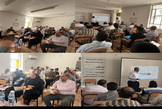 آشنایی با مراحل کاشت و داشت کلزا در ماهشهر