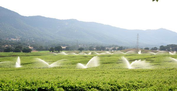 تجهیز 14000 هکتار از اراضی کشاورزی کهگیلویه و بویراحمد به سیستم آبیاری تحت فشار