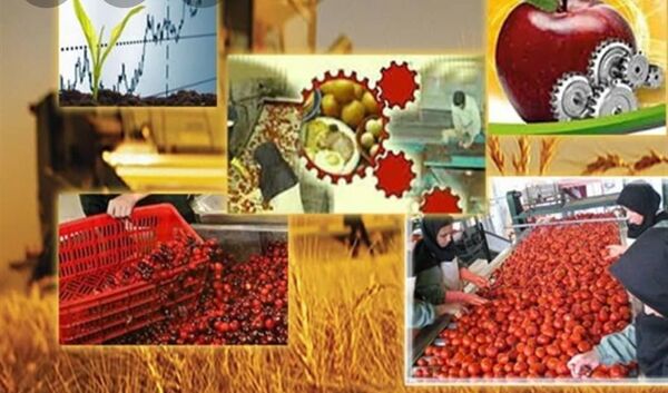 صدور دو  مجوز جدید صنایع تبدیلی و تکمیلی در شهرستان پردیس