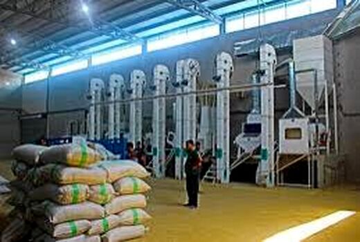 فعالیت 70 واحد شالیکوبی مدرن در آمل