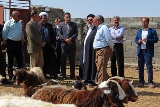 سفر رییس سازمان جهاد کشاورزی استان خراسان جنوبی به نهبندان