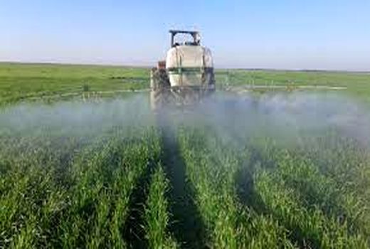  افزایش راندمان تولید با عملیات مبارزه با آفات و علف های هرز در خرمشهر